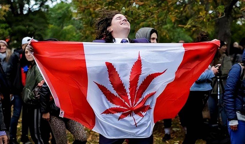 加拿大的下场加拿大的下场，全球化时代的挑战与机遇