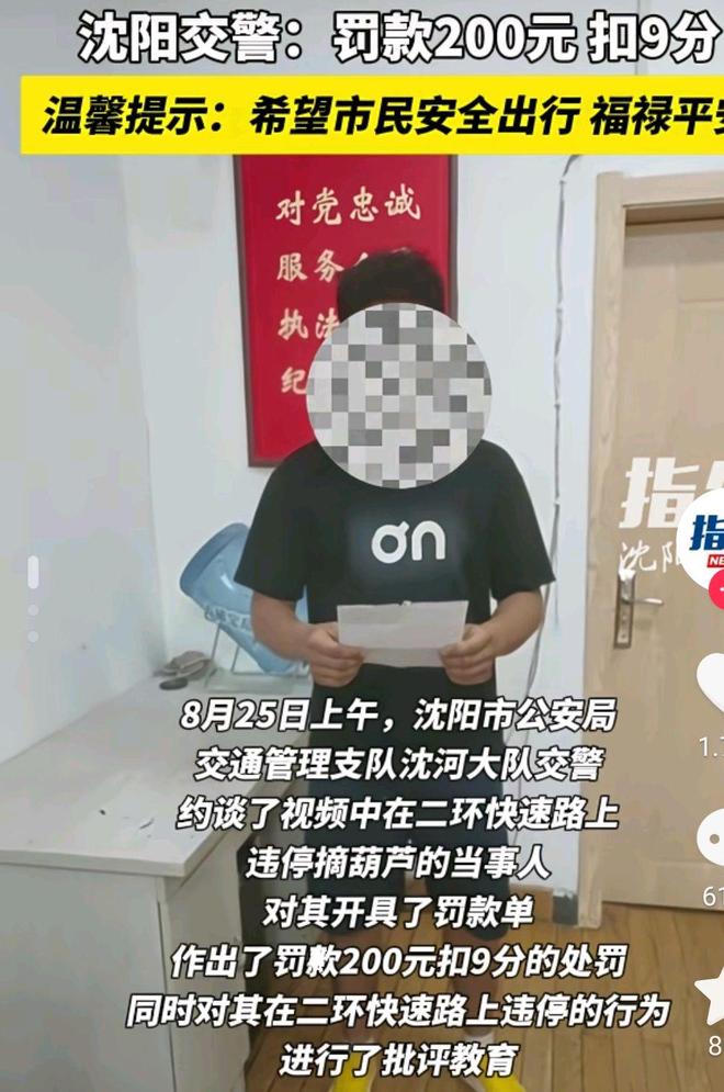 沈阳“高架网红葫芦”被摘沈阳高架网红葫芦被摘事件全解析