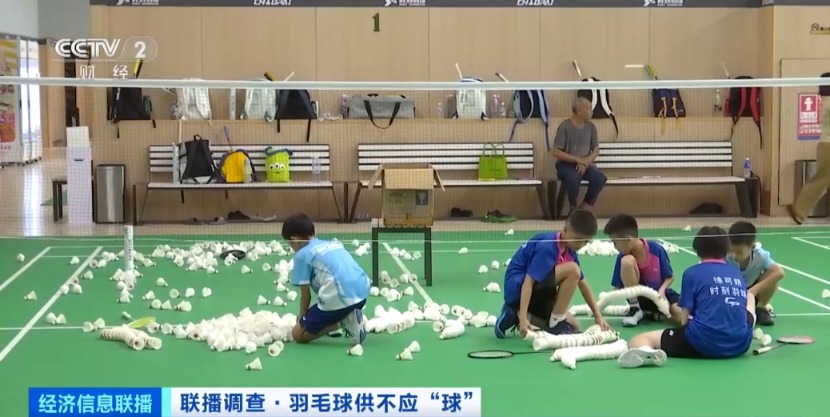 羽毛球售价羽毛球售价，市场波动背后的因素解析与购买指南